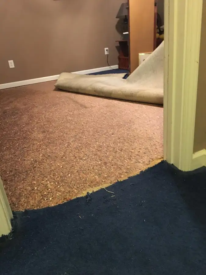 Carpet pad removal revealing water damage during Drying & Dehumidification in O'Fallon