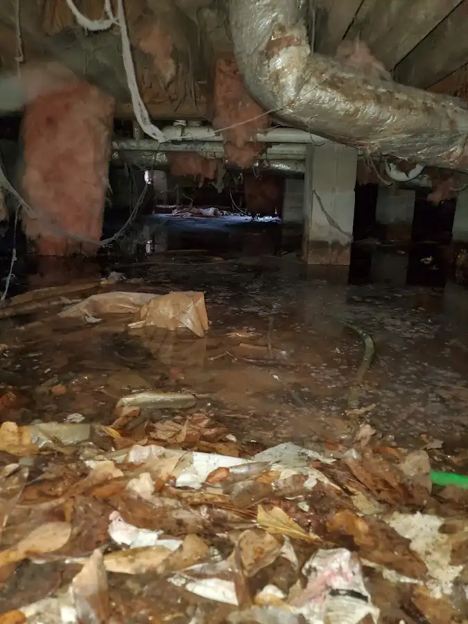 Crawl space flood assessment for Commercial Water Damage Restoration in O'Fallon